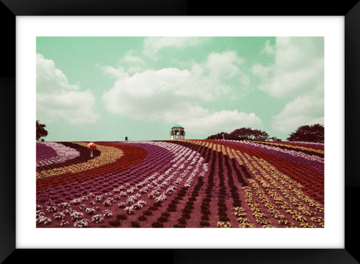 Japan Theme Park A3 Sized Premium Framed Print