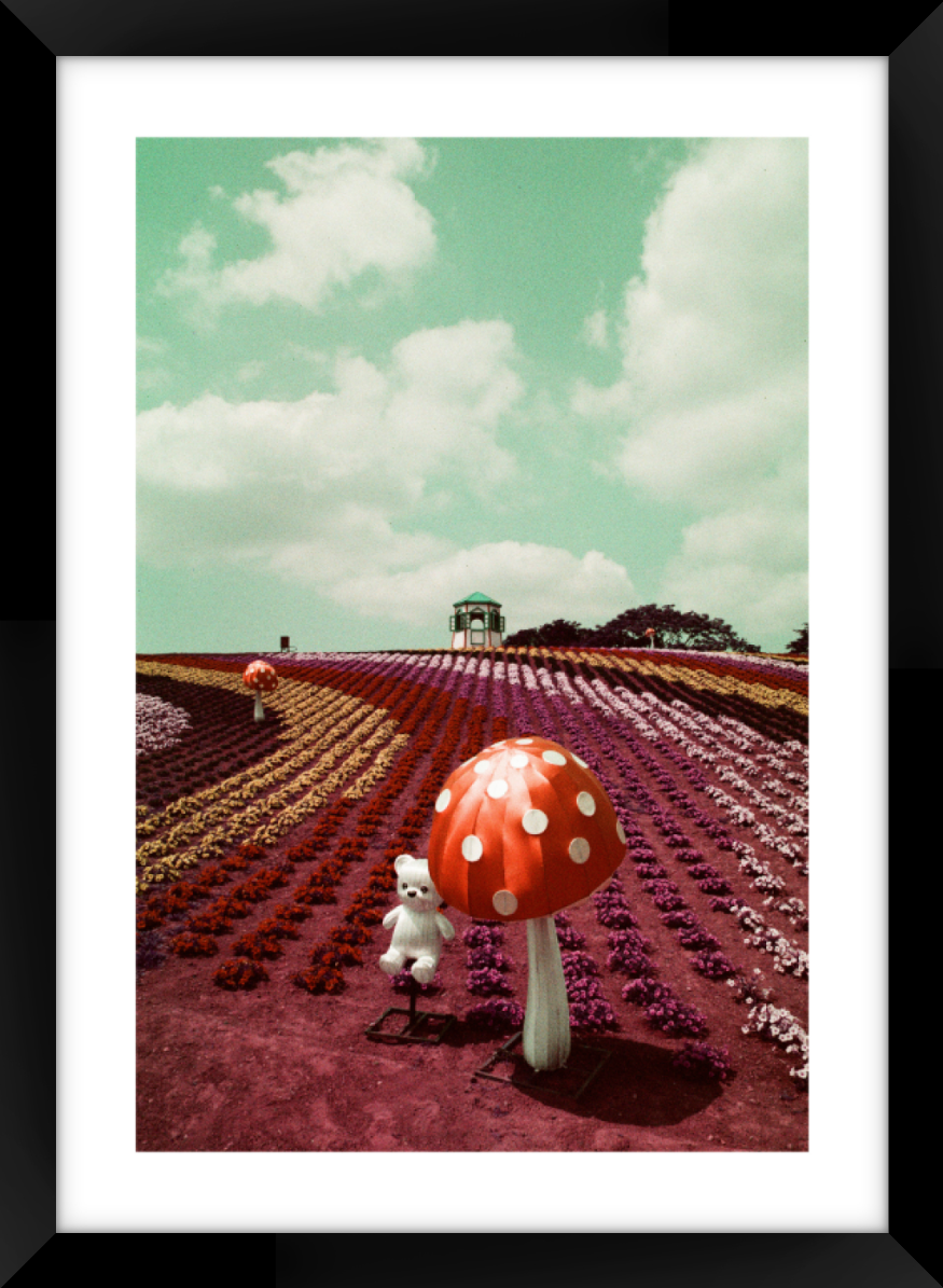 Japan Theme Park A3 Sized Premium Framed Print