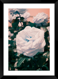 Flower A3 Sized Premium Framed Print